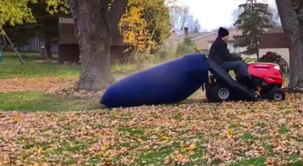 how to remove leaves