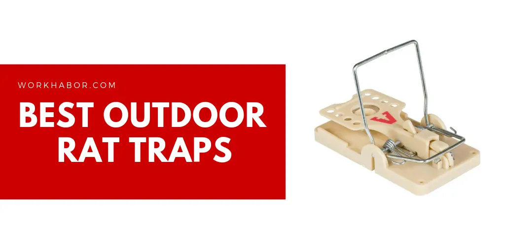Best Outdoor Rat Traps