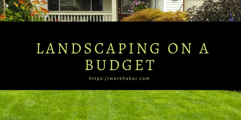 landscaping on budget