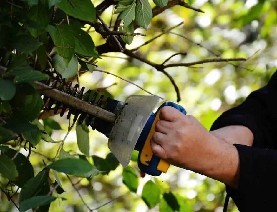 electric trimmer