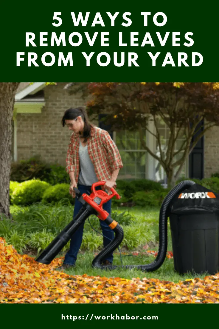 how to remove leaves from your yard