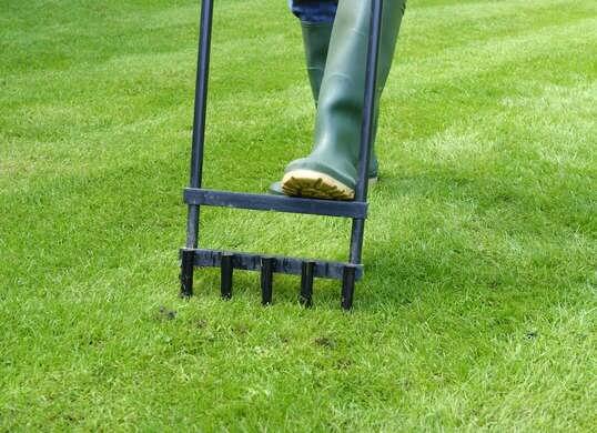 how to aerate the lawn