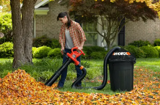 how to remove leaves from your yard