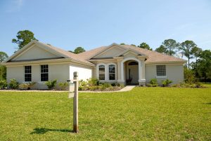 revive a dead lawn