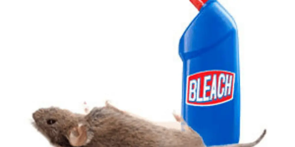 does bleach repel mice?