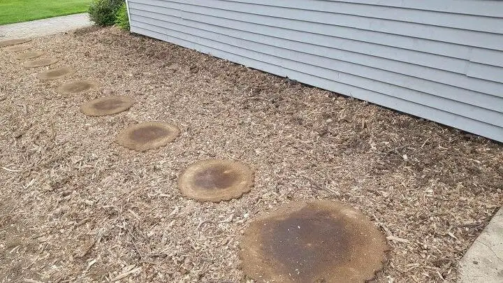 what to do with tree stump in front yard