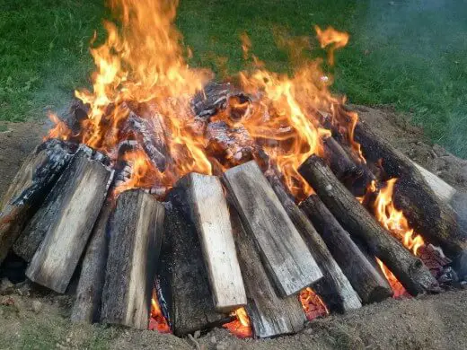 can you burn tree stump