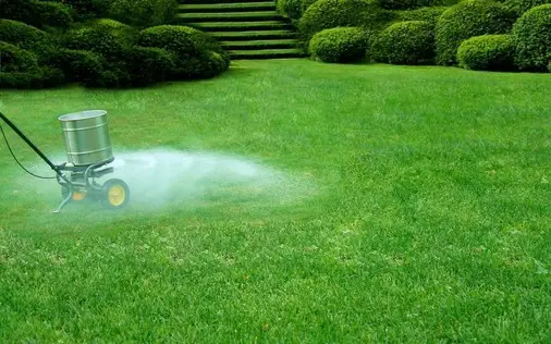When To Add Lime To Lawn