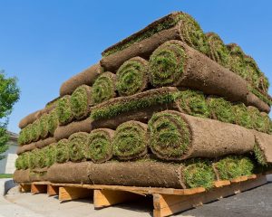 How Much Does A Pallet Of Sod Weigh?