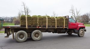 How Much Does A Pallet Of Sod Weigh?