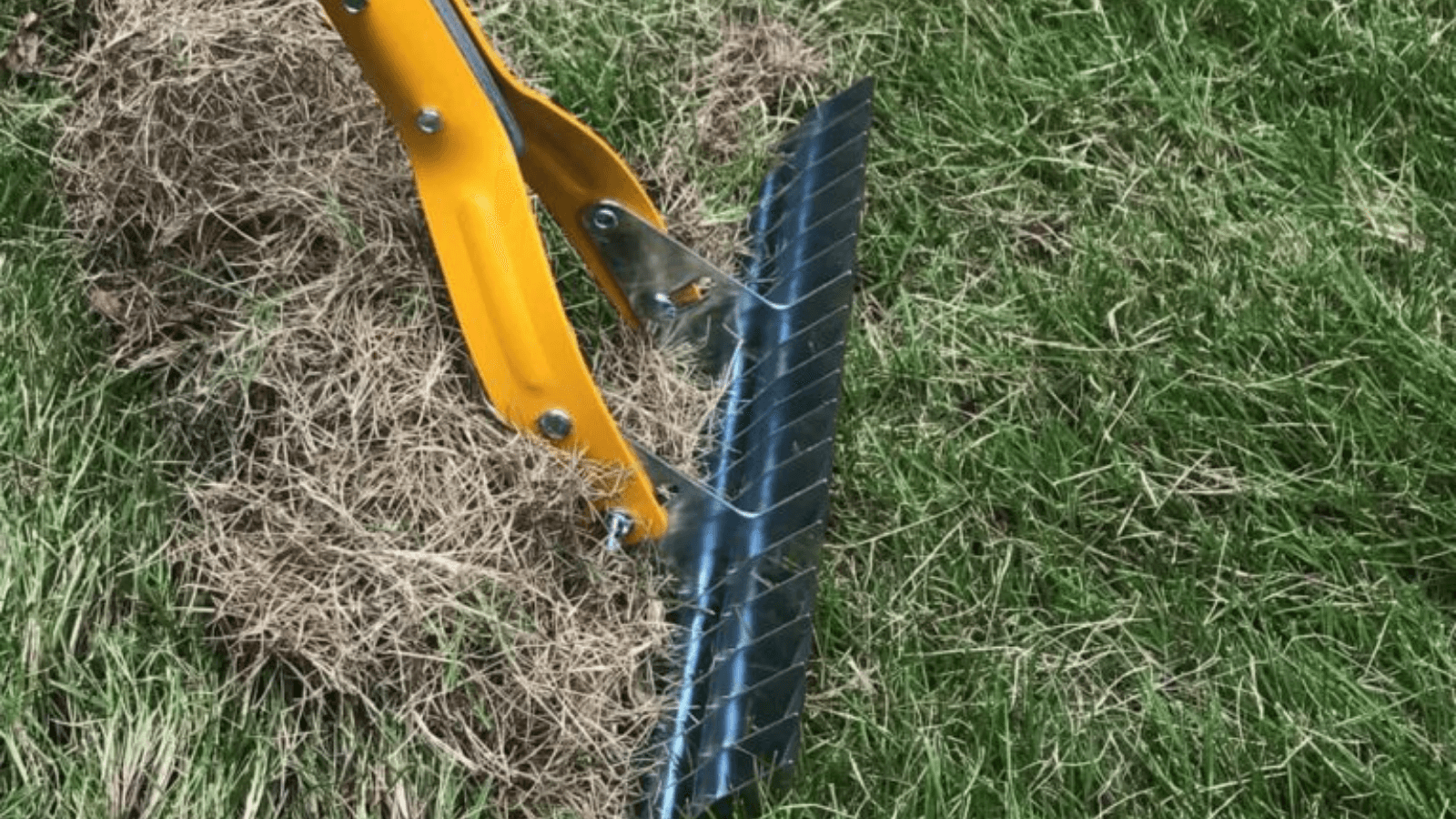 dethatching your lawn