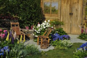 spruce up your backyard