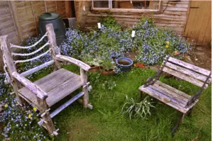 gardeing tips for gardeners