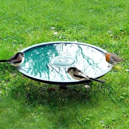 3 birds perched on a bird bath