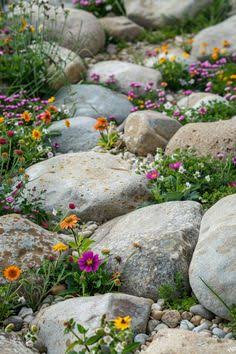 Rock garden landscaping ideas